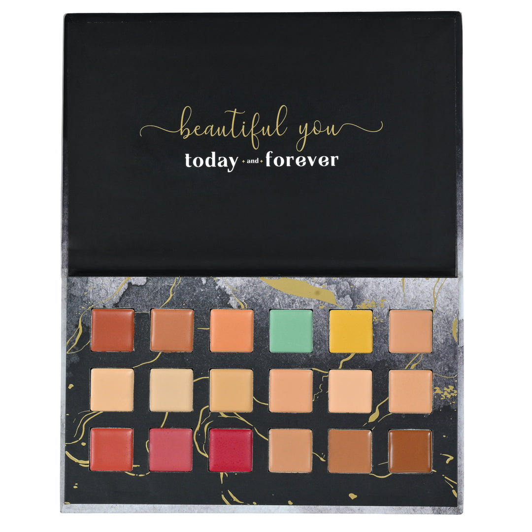 One for All Palette – Aspire Edition