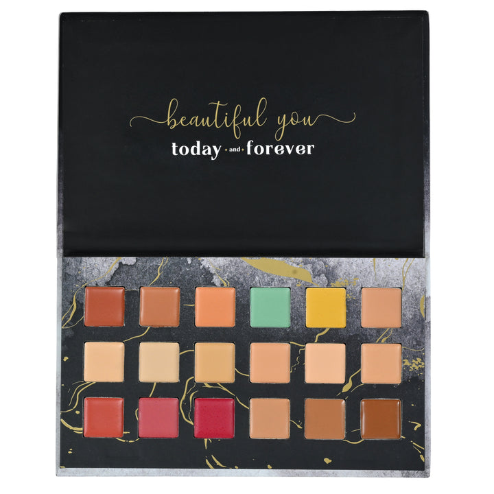 One for All Palette – Aspire Edition